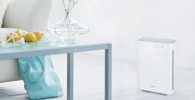 Ionización klarstein Vita Pure 2G